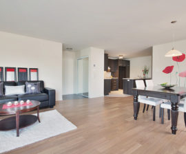 Salon et salle à manger